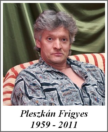 pleszkanfrici