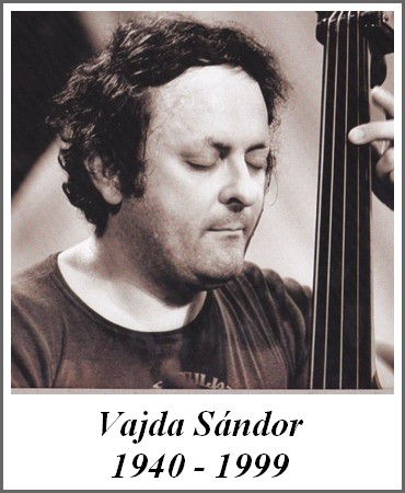 vajdasanyi